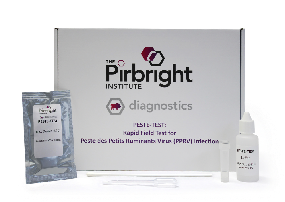 P Fast Testing The Pirbright Institute